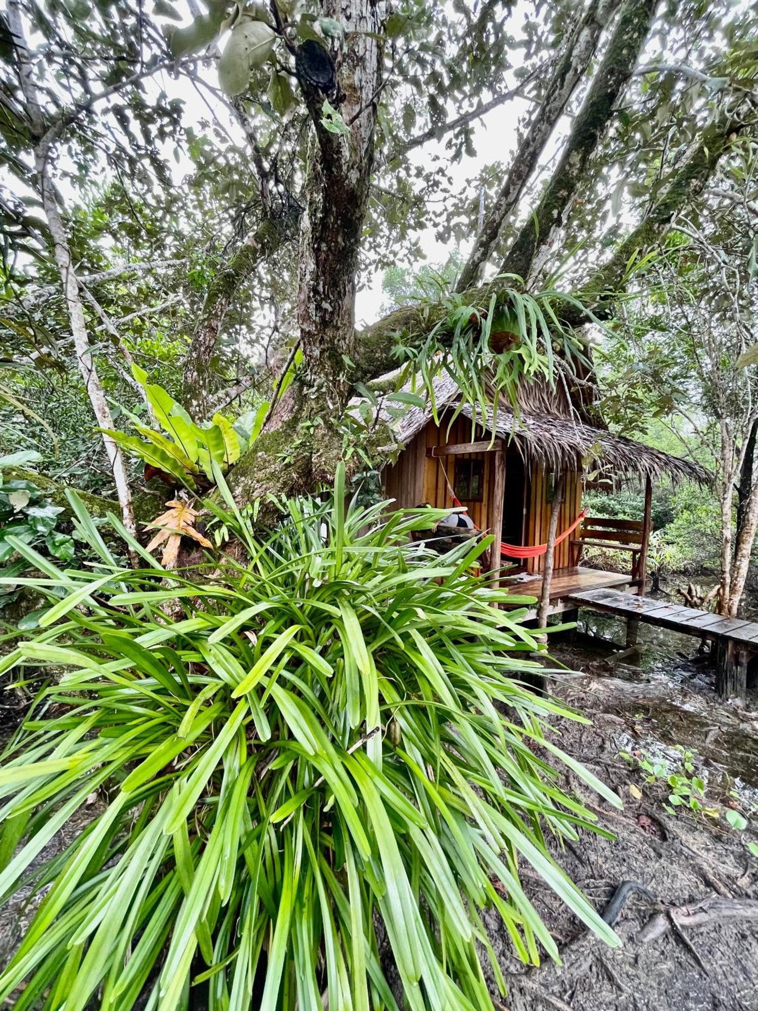 Lily'S Riverhouse Prek Svay Village Exterior photo